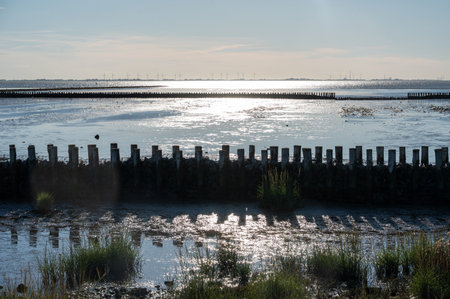 Breakwater in the sea on the North Sea coast in Wremen, Germany, with a blue sky