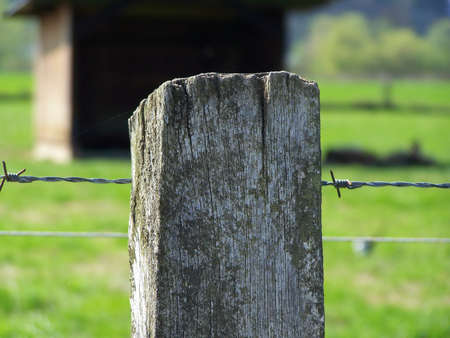 Barbed Wireの写真素材