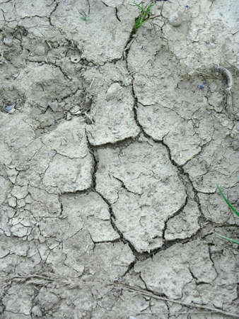 Dry Earthの写真素材