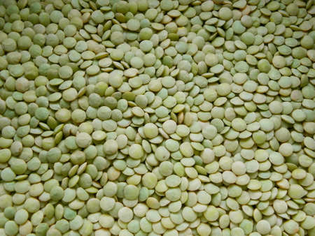 Green lentilsの写真素材