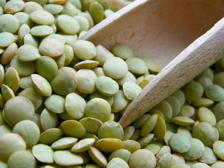 Green lentilsの写真素材