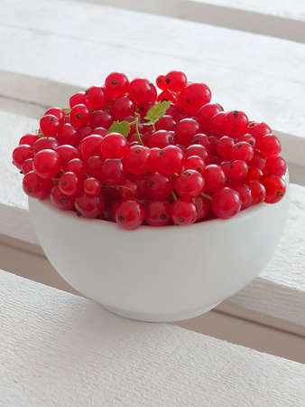 Currantsの写真素材