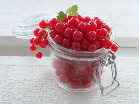 Currantsの写真素材