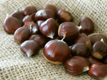 Chestnutsの写真素材