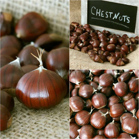 Chestnutsの写真素材