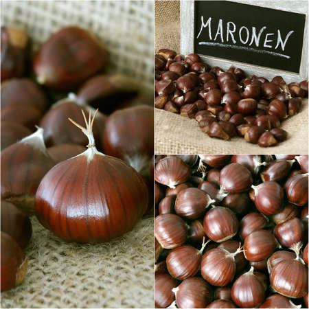 Chestnutsの写真素材