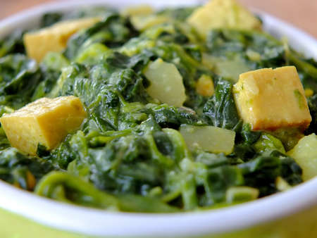 Image of indian palak paneerの写真素材