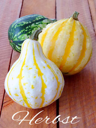 Autumn pumpkins with german textの写真素材