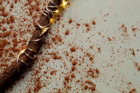 A composition with licorice sticks rolled up in some fairy lights, and cinnamon powderの写真素材