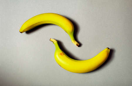 Two ripe yellow bananas on a gray background. Healthy food concept.の写真素材