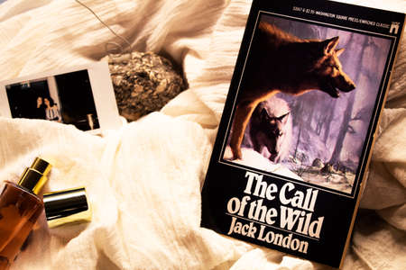 Top view of perfume on the table.の写真素材