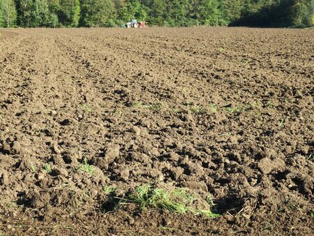 agricultureの写真素材