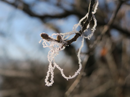 two in winterの写真素材