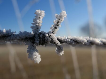 icy knot of a stacheldrahtzaunの写真素材