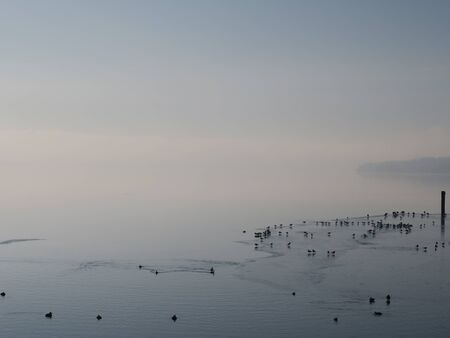 Starnberg Lake in winterの写真素材
