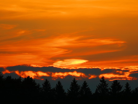 Red tinted sky evening mood with clouds and tree borderの写真素材