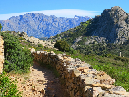 Hike on Corsica occiの写真素材