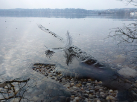 Starnberger See Mirror image of a springの写真素材