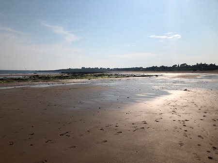 Elie beach at low tide with a view of the town in the background.の写真素材