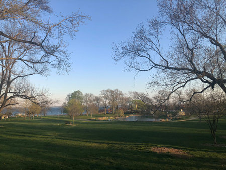 Park with a pond in the early morning with blue sky and trees in the foregroundの写真素材