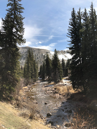 Mountain river near Vail, Colorado, n the valley of the river and a coniferous forest.の写真素材