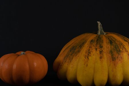Cropped section of a mini orange pumpkin and a yellow pumpkin with black background, closeup.の写真素材