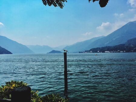 Gull on a ship mounting in front of italian mountain at lake como at hot summer day with clouds and mountain range in background.の写真素材
