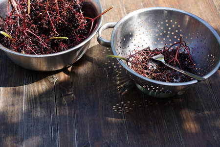 Elderberries in colander on wooden tableの写真素材