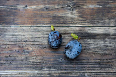 Two plums on wooden background. blue fruit, very sweet with wooden core inside. A table fruit for baking, jam, liqueur. Close-up, high angle view.の写真素材