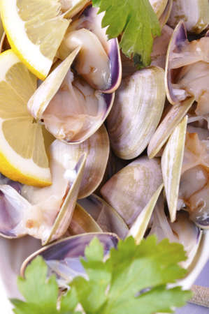 Fresh fish by boat in the ocean blue
