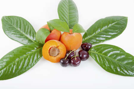 apricots and cherries with green leaves