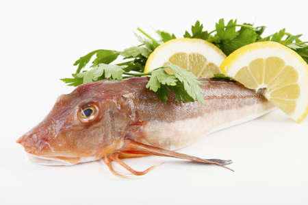 chicken of the sea red fish for soups and risottosの写真素材