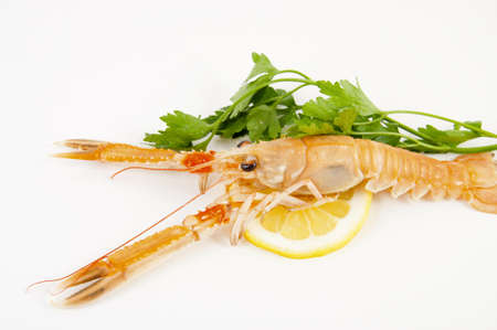 scampi with lemon for freshly caught fish dishes tastyの写真素材