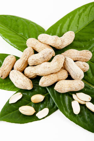 noccioline intere sbucciate e su fondo bianco e foglieの写真素材