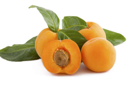 apricots and cherries with green leavesの写真素材