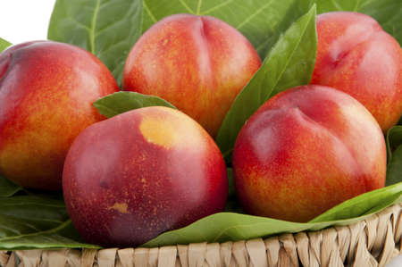 basket of fresh peaches nectarines with leavesの写真素材