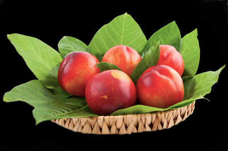 basket of fresh peaches nectarines with leavesの写真素材