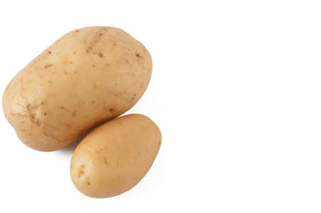 potato yellow earth on white backgroundの写真素材