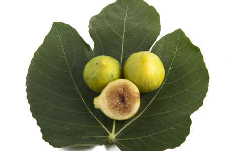 figs with leaves on a white backgroundの写真素材