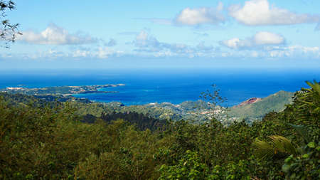 Caribbean sea - Grenada Island - Saint George's - Grand Anse and Devils bay - Grand Etang National Parkの写真素材