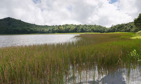 Grenada island - Grand Etang National Park - Grand Etang Lakeの写真素材