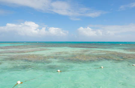 Antigua island and coastline - Saint John's - Antigua and Barbuda - Caribbean tropical seaの写真素材