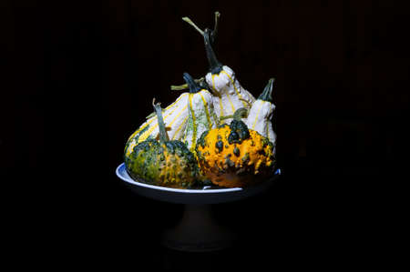 Composition of decorative pumpkins on black backgroundの写真素材