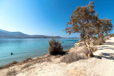 View of Marcello beach - Cyclades islands - Paroikia (Parikia) Paros - Greeceの写真素材