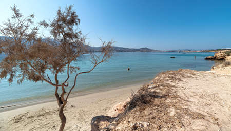 View of Marcello beach - Cyclades islands - Paroikia (Parikia) Paros - Greeceの写真素材
