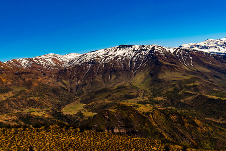 beautiful mountain landscape covered by green vegetation in spring day under blue sky with snowy...