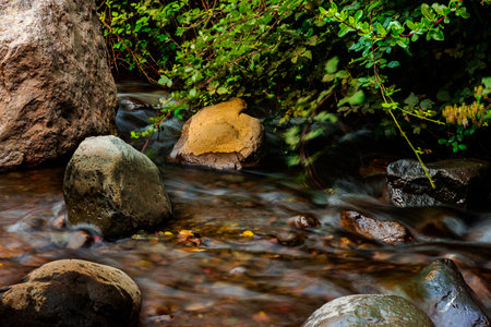 <p>view of the bank of a mountain river, you can see the smooth flow of water next to stones of different sizes with lush vegetation in the background</p>の写真素材