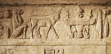 Ancient hieroglyph and relief in a Temple. egypt