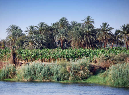 Buildings and landscape on the coastline of the Nile river. Egyptの写真素材