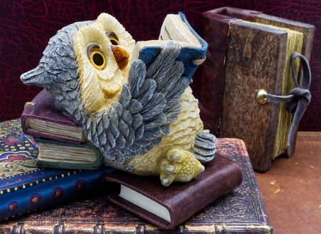 Cute winter owl figurine reading an old book.